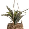 Umělá rostlina (výška 25 cm) – Casa Selección. Cvičení