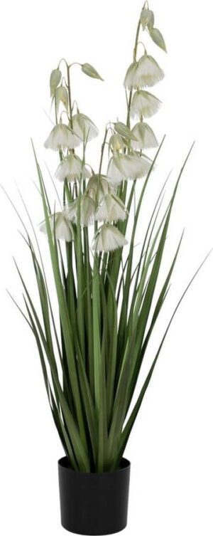 Umělá rostlina (výška 91 cm) – Ixia. Cvičení
