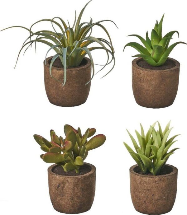 Umělé rostliny v sadě 4 ks (výška 10 cm) Cactus – Casa Selección. Cvičení