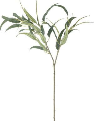 Umělý eukalyptus (výška 85 cm) Eucalyptus – Bloomingville. Cvičení