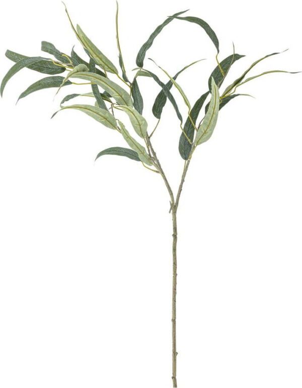 Umělý eukalyptus (výška 85 cm) Eucalyptus – Bloomingville. Cvičení