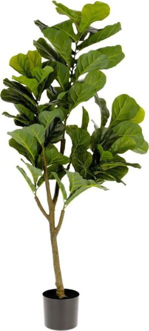 Umělý fíkus (výška 150 cm) Lyrata – Kave Home. Cvičení