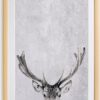 Obraz 30x40 cm Deer – Surdic. Cvičení