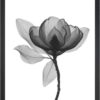 Obraz 24x29 cm Harmony Flower – Vavien Artwork. Cvičení