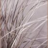 Obraz 50x70 cm Mellow Grasses 1 – Malerifabrikken. Cvičení