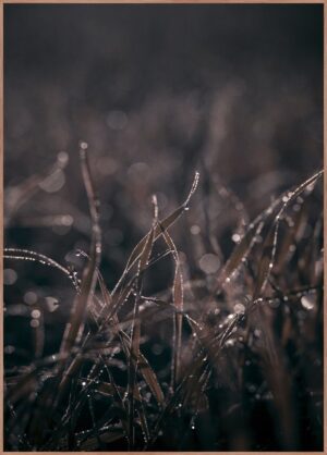Obraz 50x70 cm Mellow Grasses 5 – Malerifabrikken. Cvičení