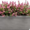 Truhlík terakota 42 cm Siza – Artevasi. Cvičení