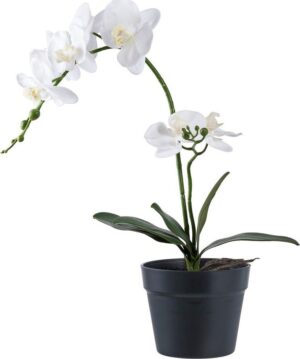 Umělá květina (výška 47 cm) Orchid – House Nordic. Cvičení