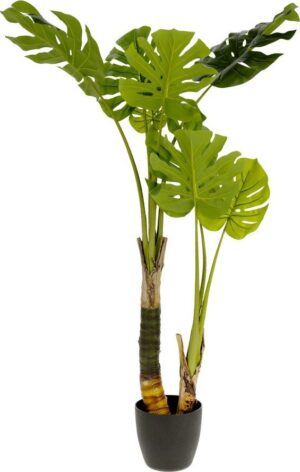 Umělá monstera (výška 130 cm) – Kave Home. Cvičení