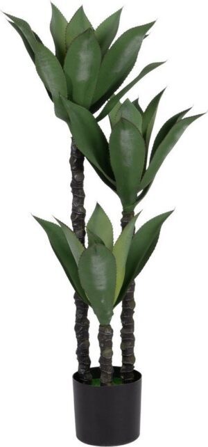 Umělá rostlina (výška 120 cm) Agave – Ixia. Cvičení