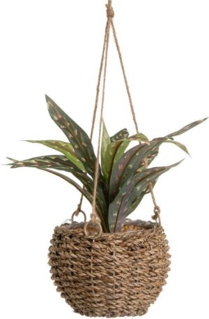 Umělá rostlina (výška 25 cm) – Casa Selección. Cvičení
